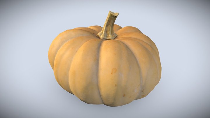 Long Island Cheese Squash - [Retopologized Scan] 3D Model