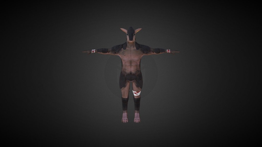 Armadillo human