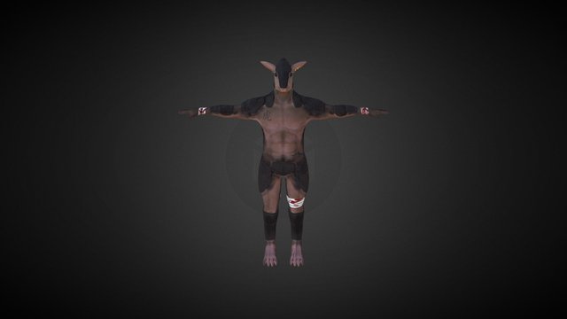 Armadillo human 3D Model