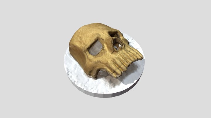 Skull Half Mask 3D Model
