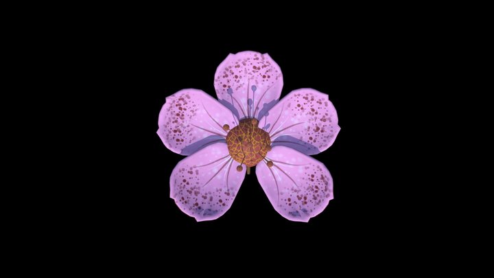 Fleur de cerisier 3D Model