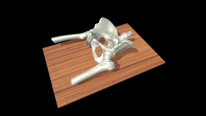 Mecanismo de Simulador de Hamaca Pélvica V2 3D Model