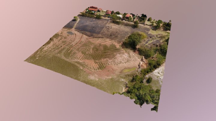 Antiga Voçoroca 3D Model