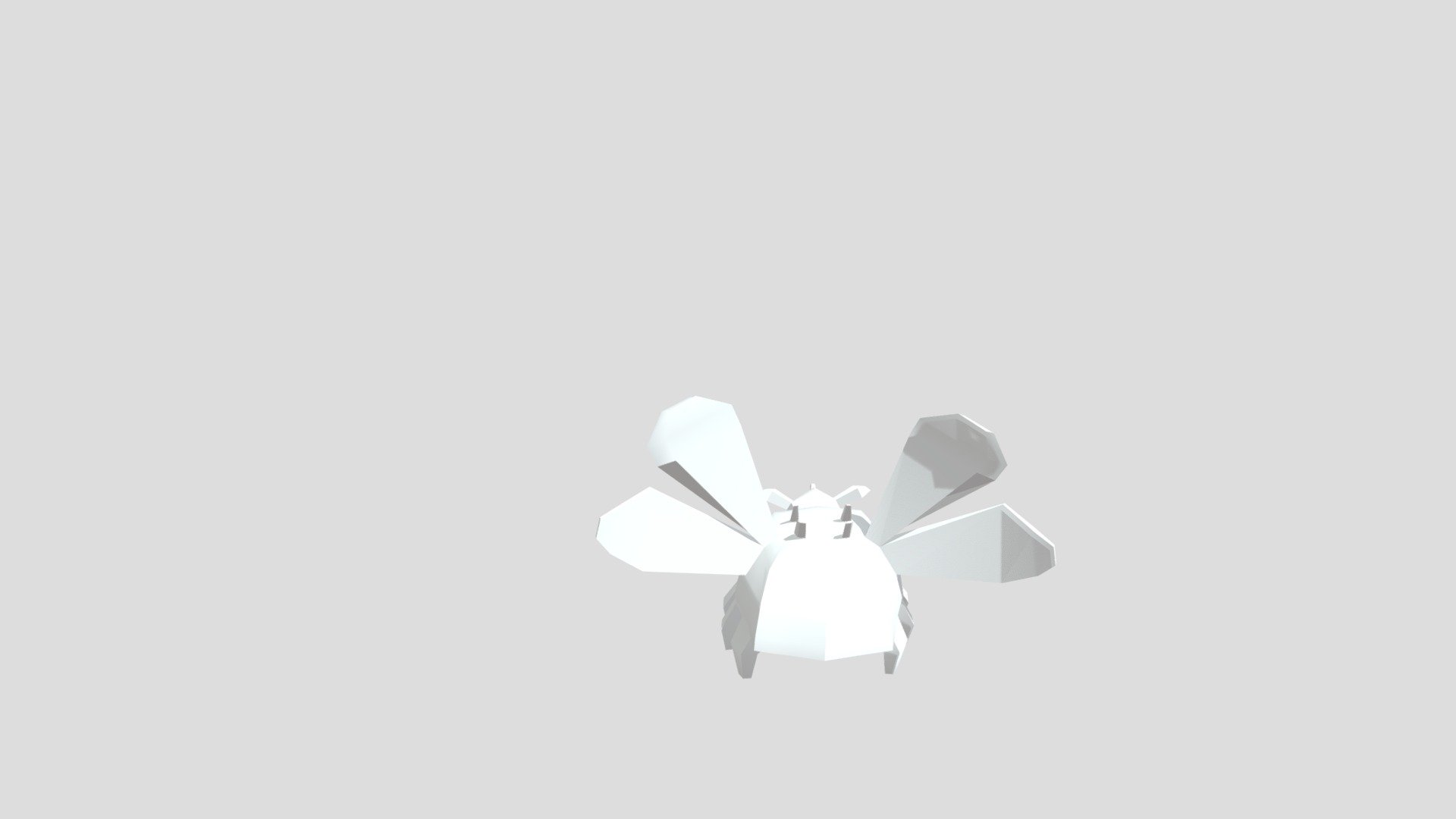 Insect