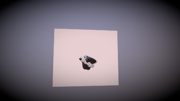 Sticky Bomb WIP 3D Model