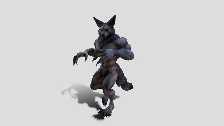 Lupine Warrior 03 3D Model