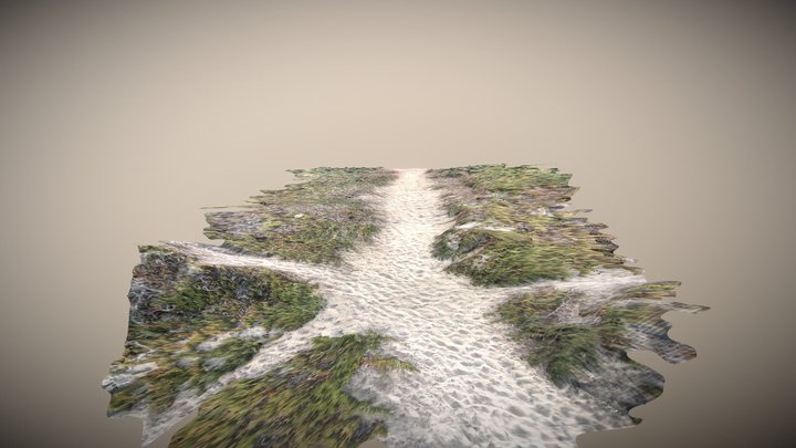 3D scan of a path to the beach 3D Model