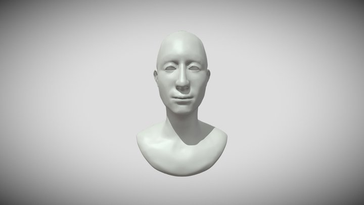 Retopologised Head 3D Model