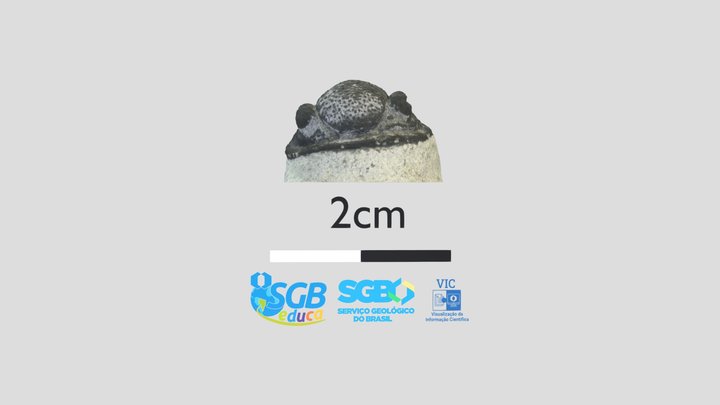 Trilobita 2 3D Model