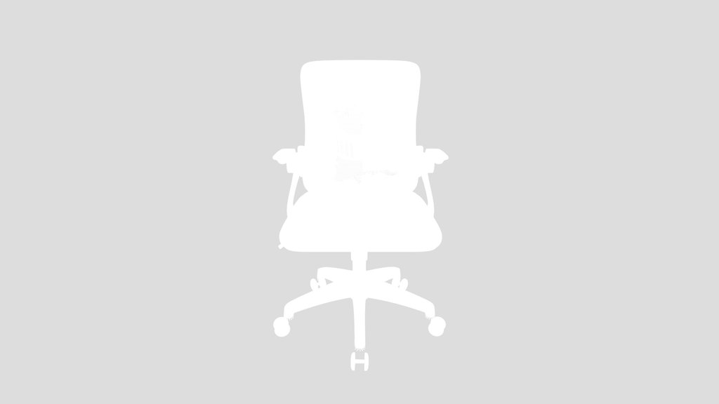Ergonomic Office Chair