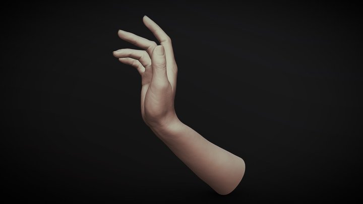 Realistic Female Hand Sculpt 2 3D Model