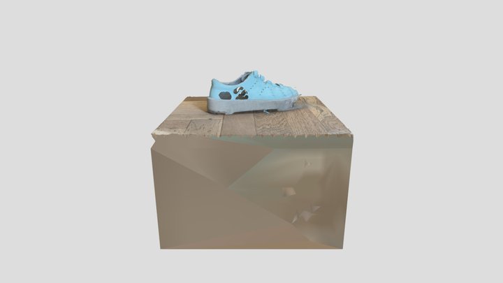 shoe - Realityscan 3D Model