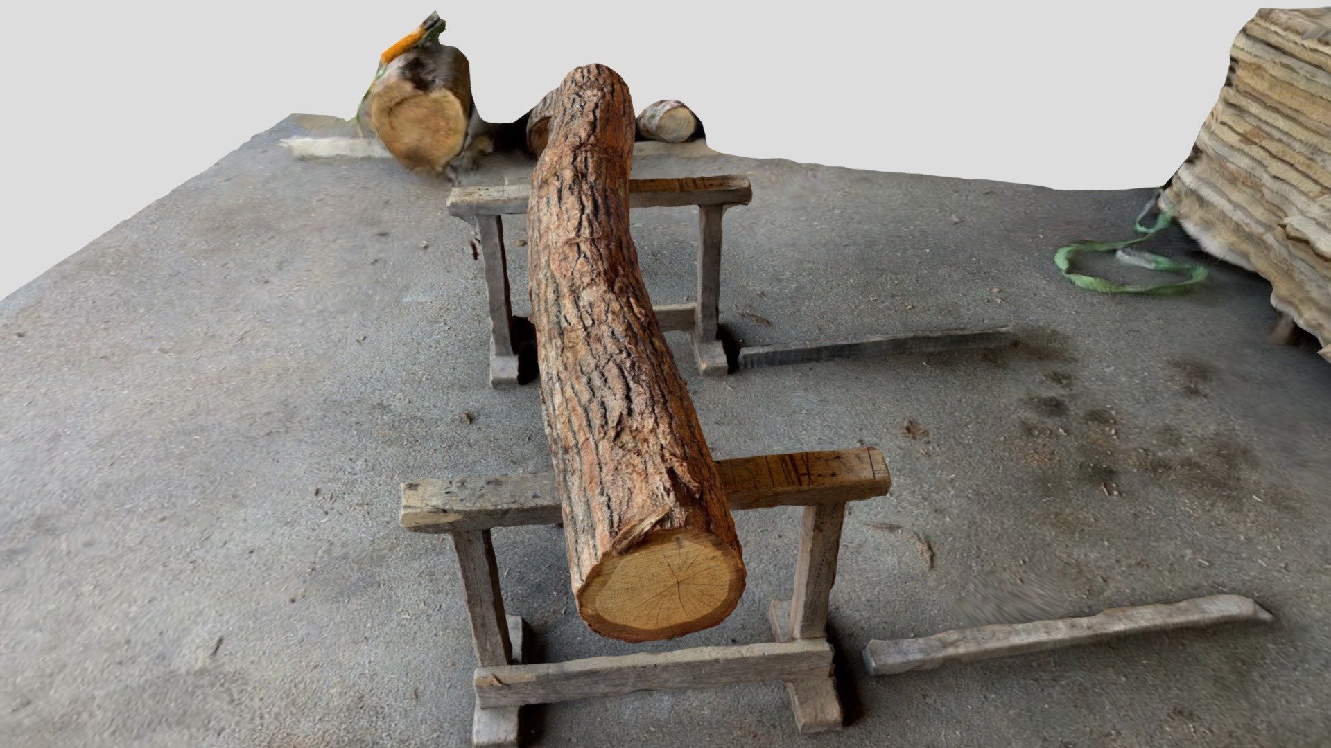 【Sample】E oak