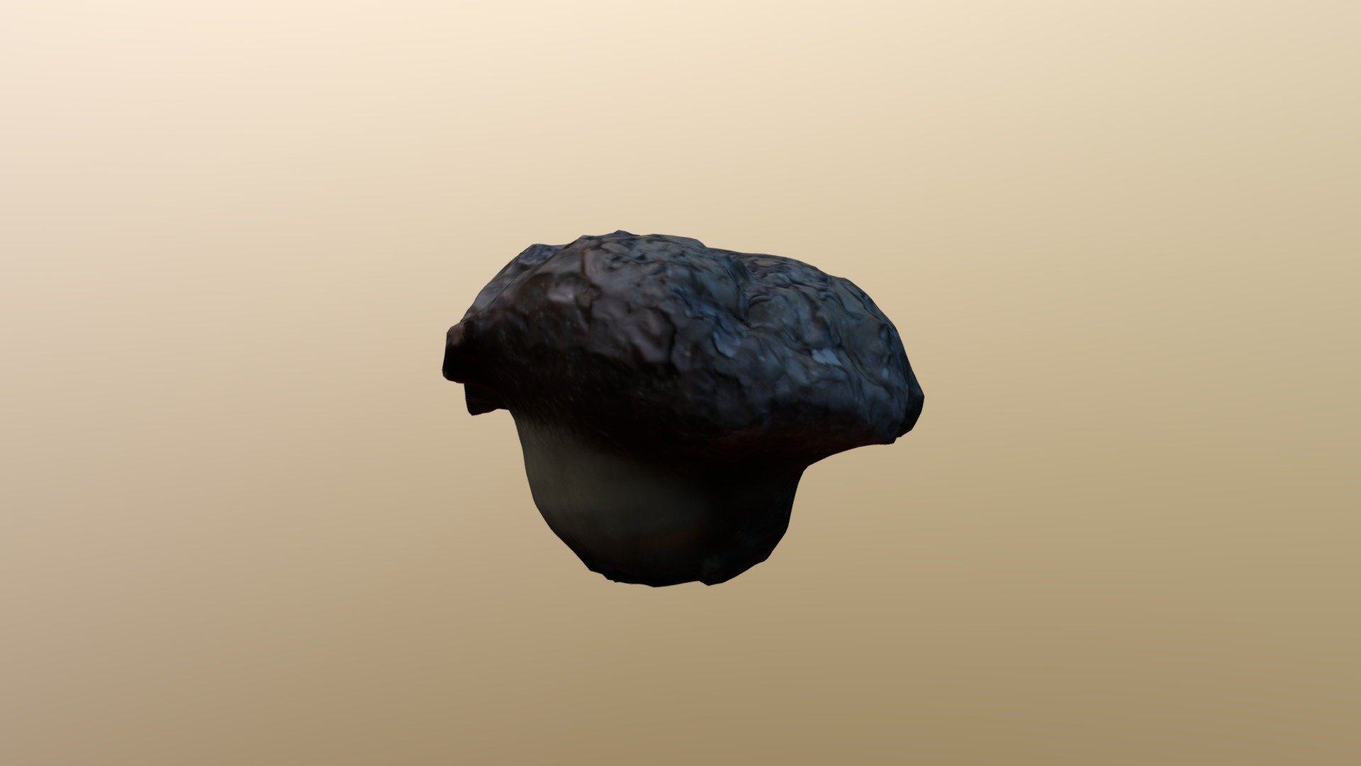 Pine mushroom