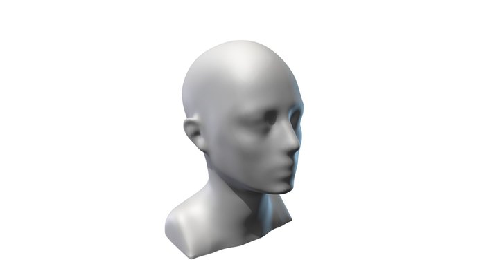 Female Mannequin Head 3D Model