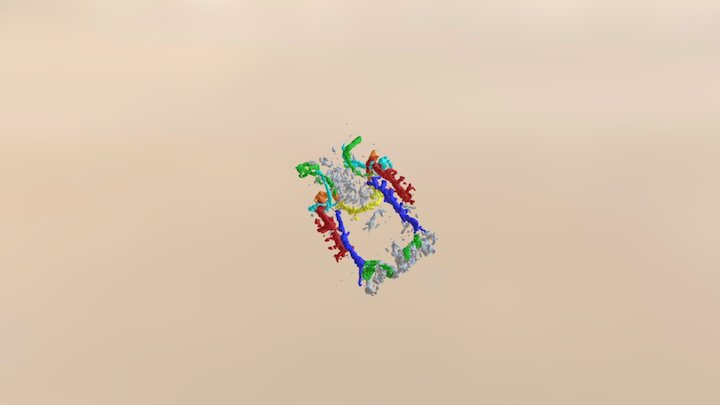 WakeTest 3D Model