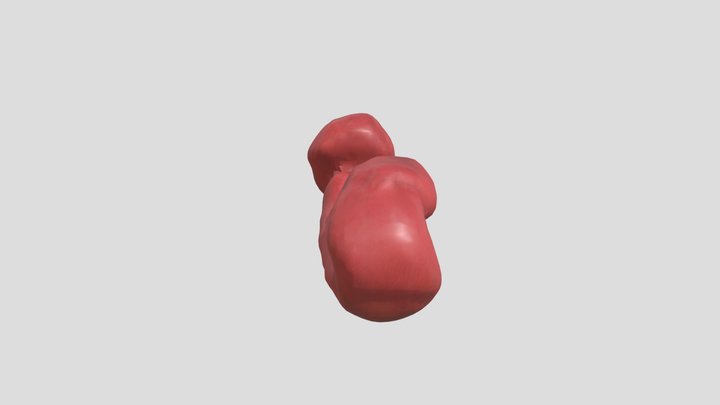ada – Modello 3D gratuito STL