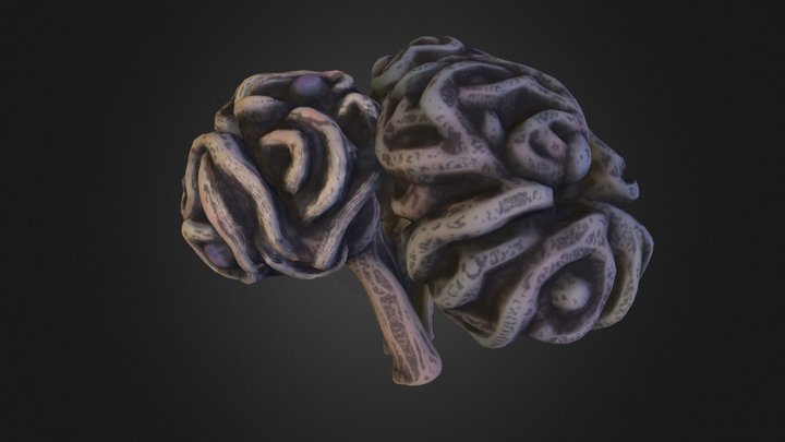 BrainFungus 3D Model