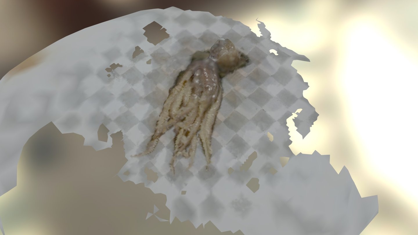 BW Benthic Octopus
