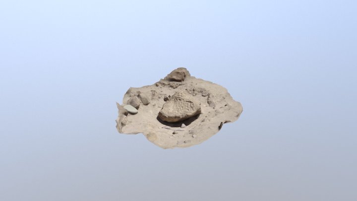 Petroglifo Millune v2 3D Model