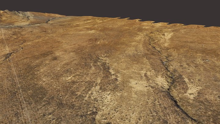 Dundreggan - Trees for Life 3D Model