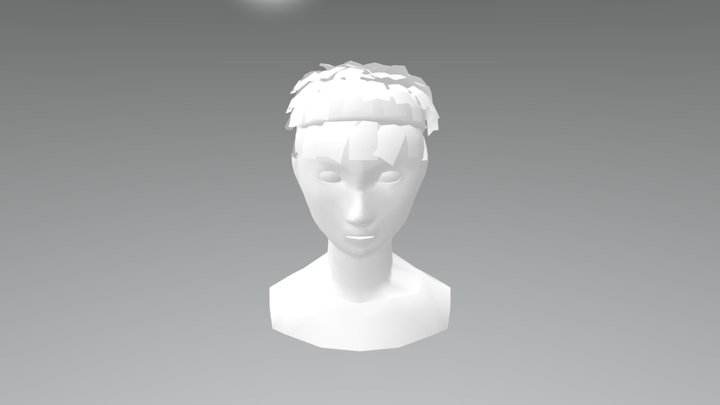 HAKANHEADSHOUDLERS 3D Model