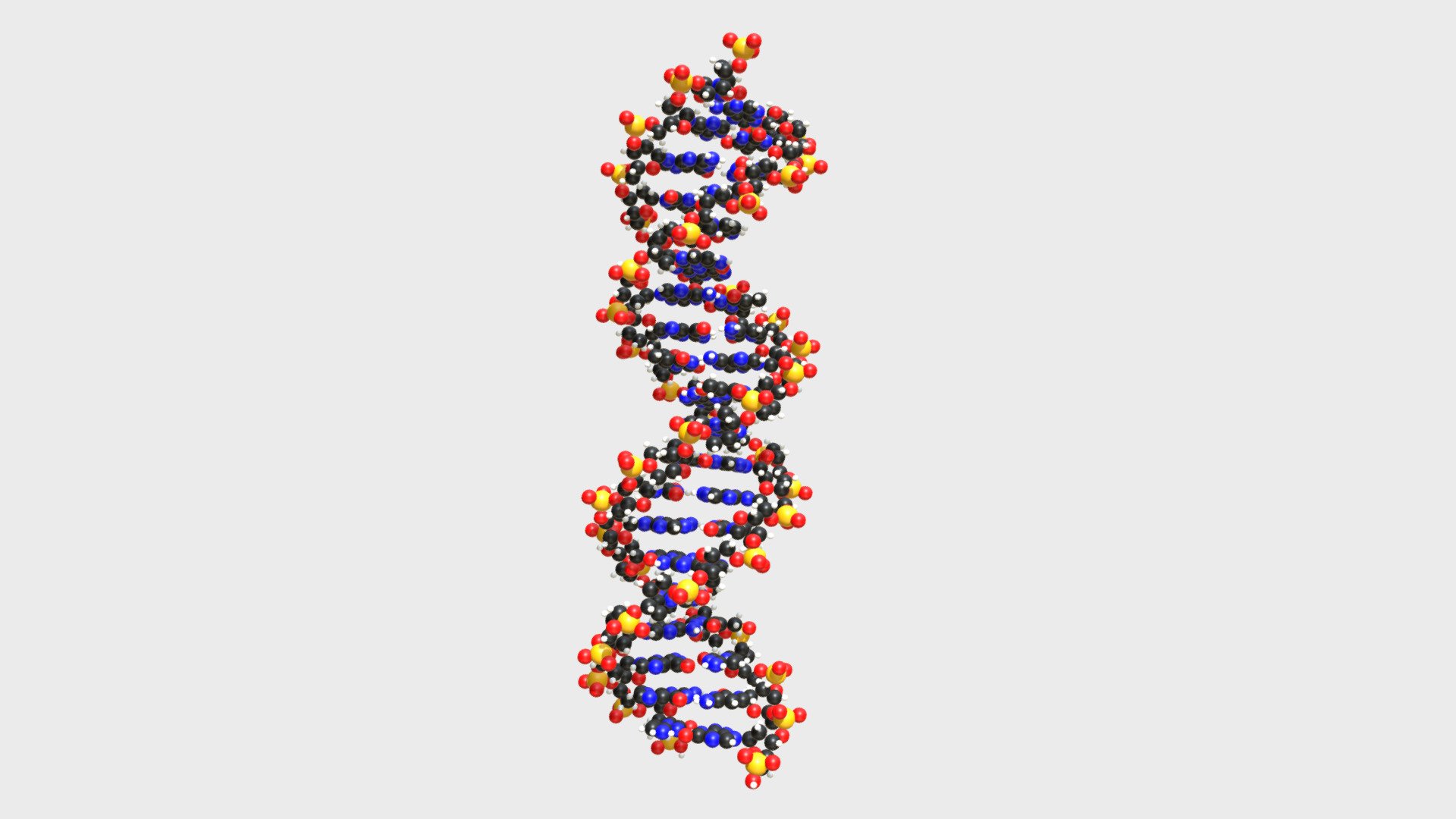 DNA Molecules - Buy Royalty Free 3D model by FrancescoMilanese  (@FrancescoMilanese) [360caac]