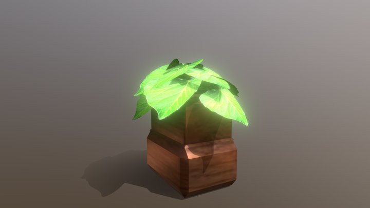 Houseplant 3D Model