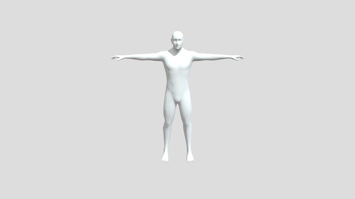 Body Low 3D Model