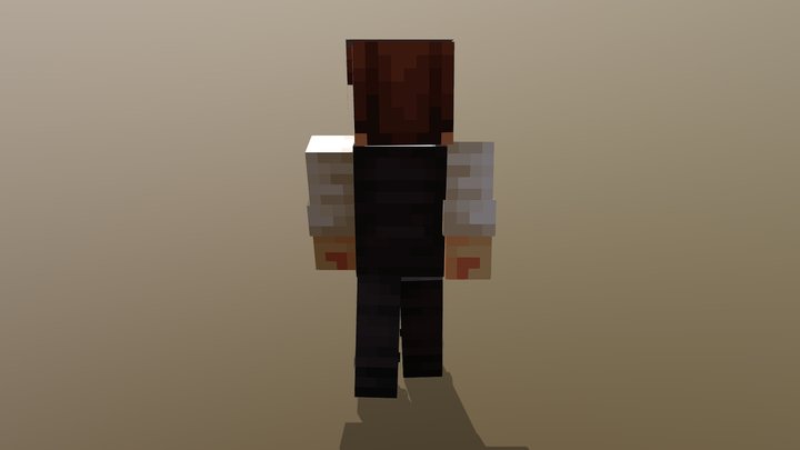 Skin 3D Model