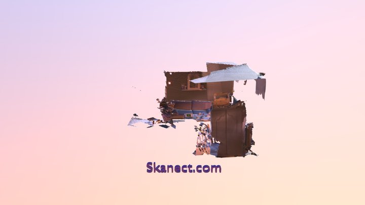 New Skanect Model 3D Model