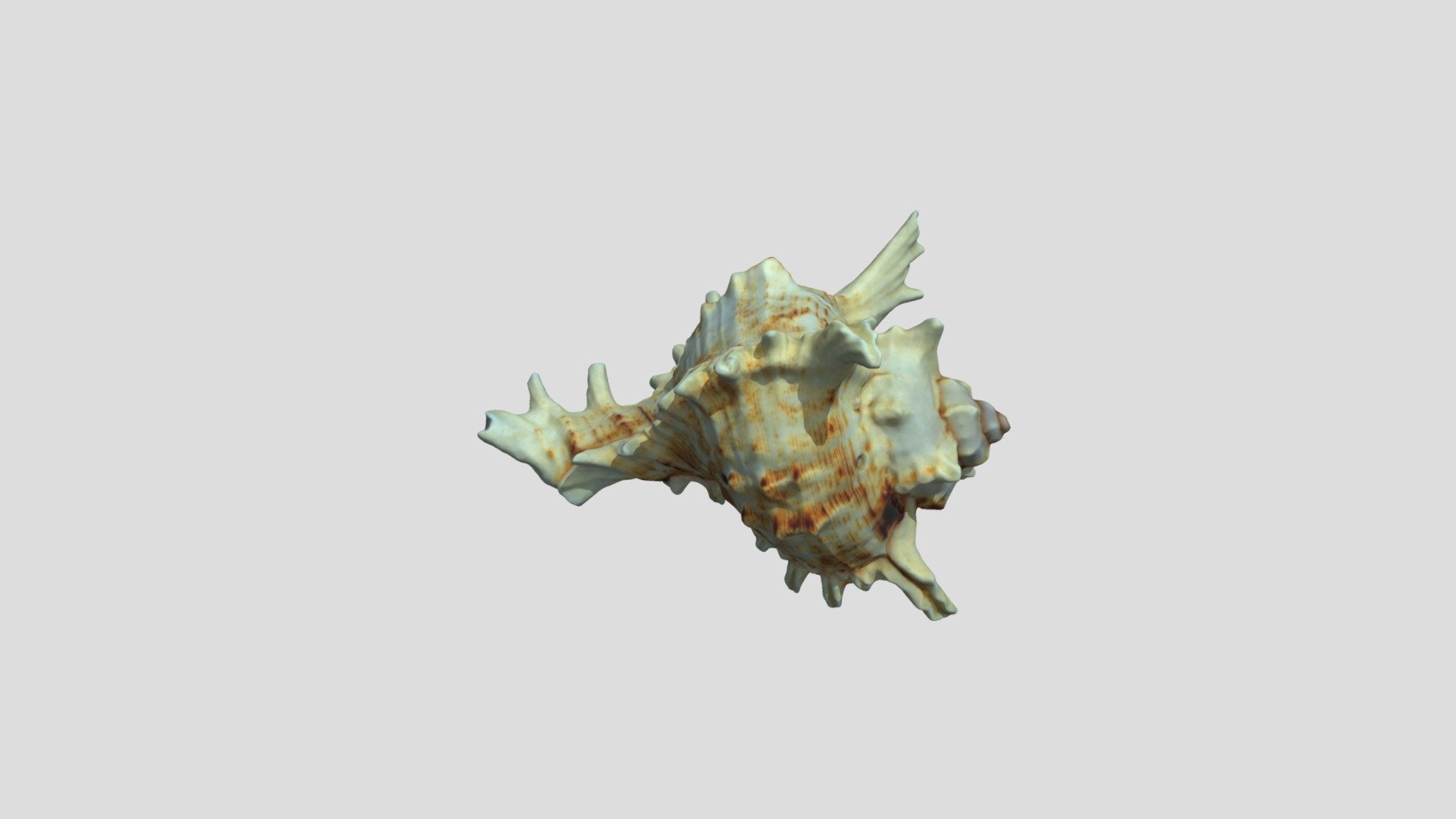 Photogrammetry 53