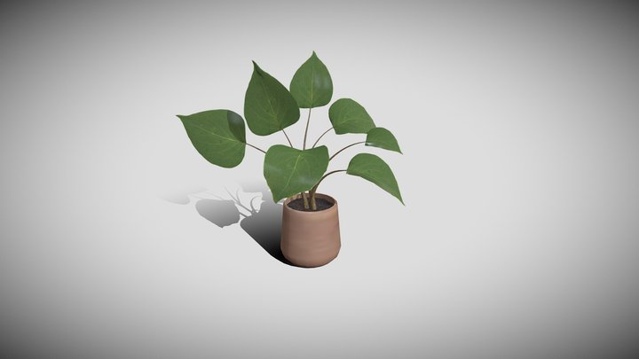 Aiden Cella - wk8 plant 3D Model