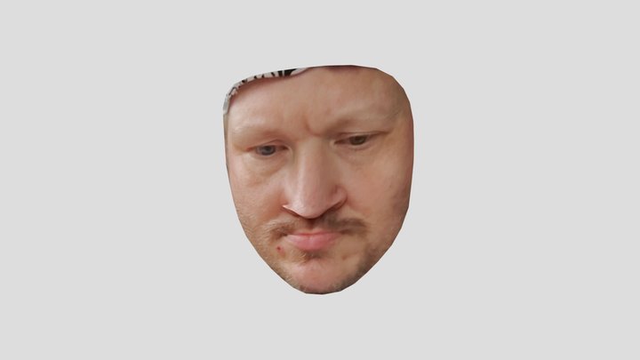 AM commute face 3D Model