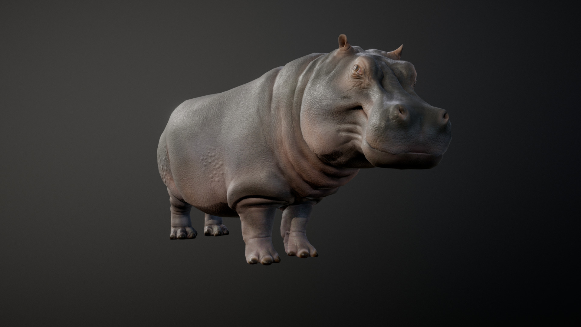 3D model HIPPOPOTAMUS ANIMATIONS - This is a 3D model of the HIPPOPOTAMUS ANIMATIONS. The 3D model is about a grey statue of a bull.
