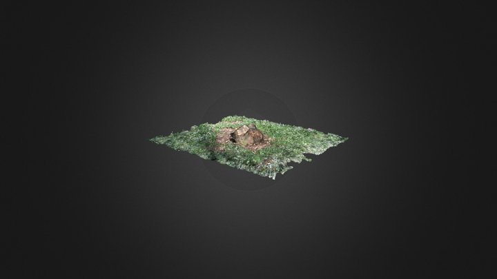 Souche 3D Model
