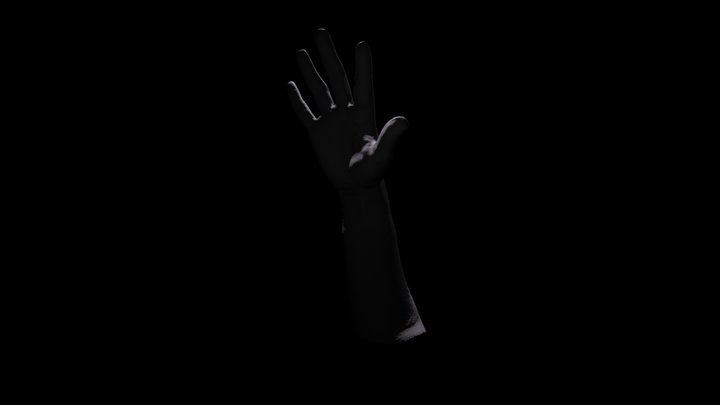 Friendly Hand 3D Model