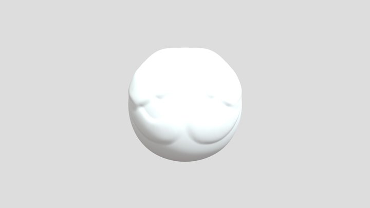My model 3D Model