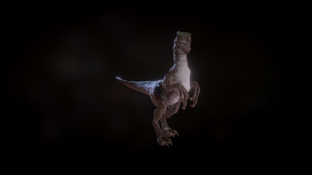 Raptor - 3D model by Dokyo [3631282] - Sketchfab