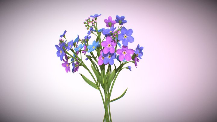 s 8 marta ^_^ 3D Model