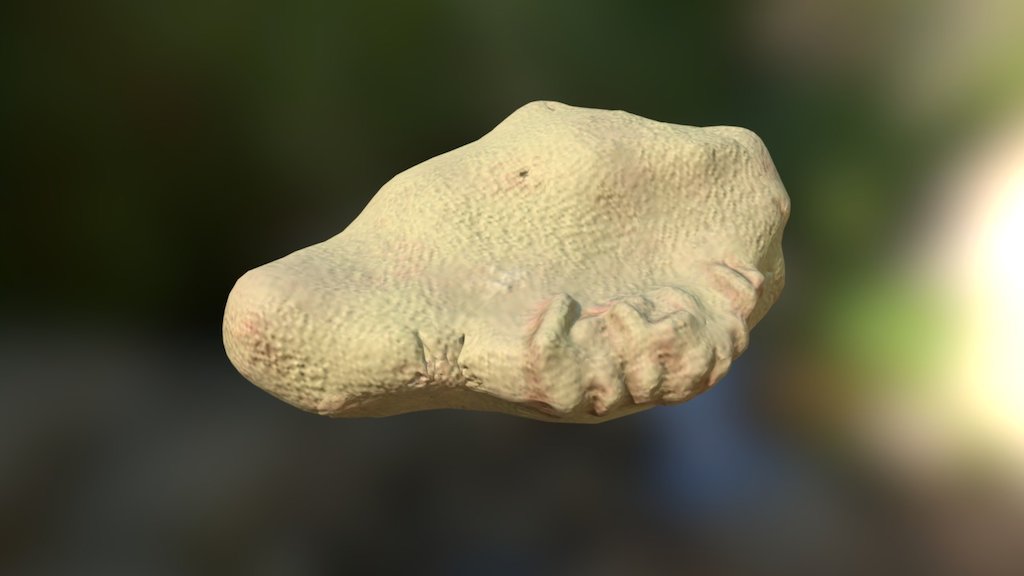 Skala Koprolit Geologia