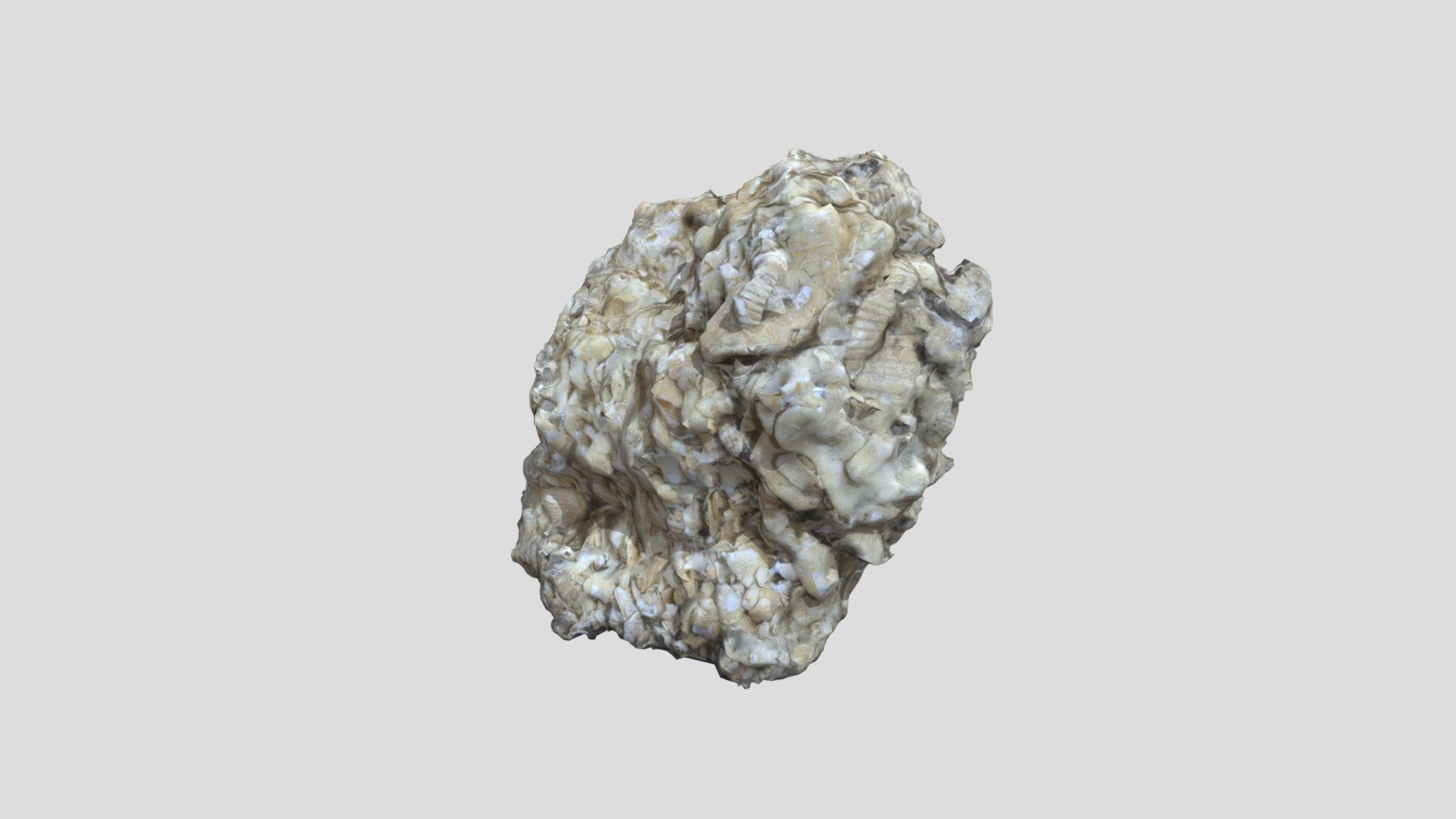 Unknown Sedimentary Rock 5