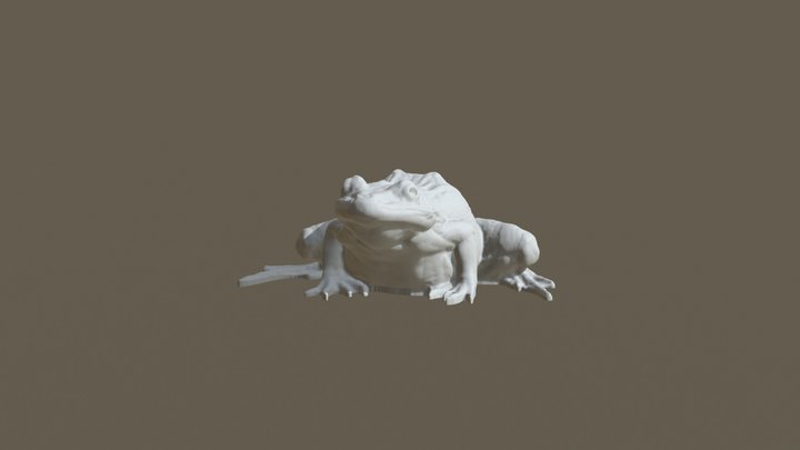 Rio Grande Leopard Frog 3D Model