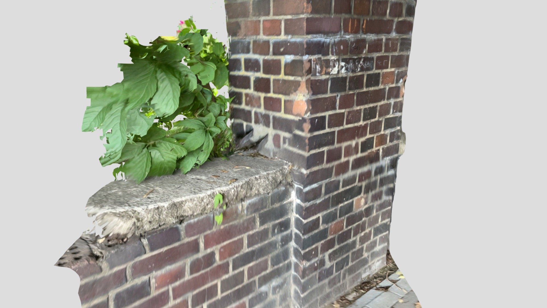 Wall