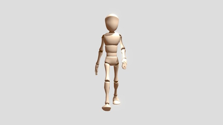 Walking Cycle 3D Model