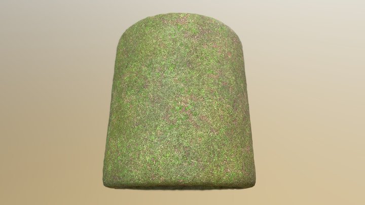Grassy Ground 3D Model