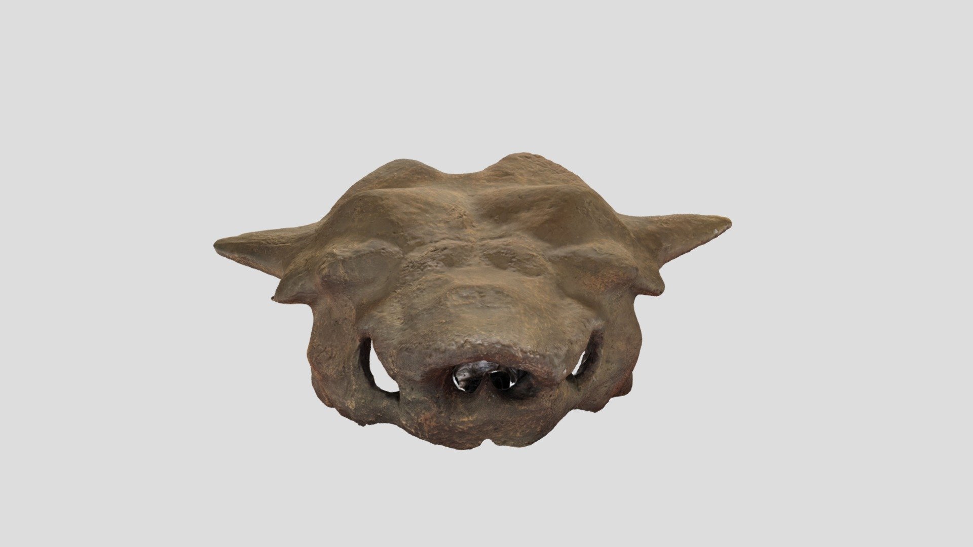 ninjemys oweni prehistoric turtle skull 3D model by Jangojips