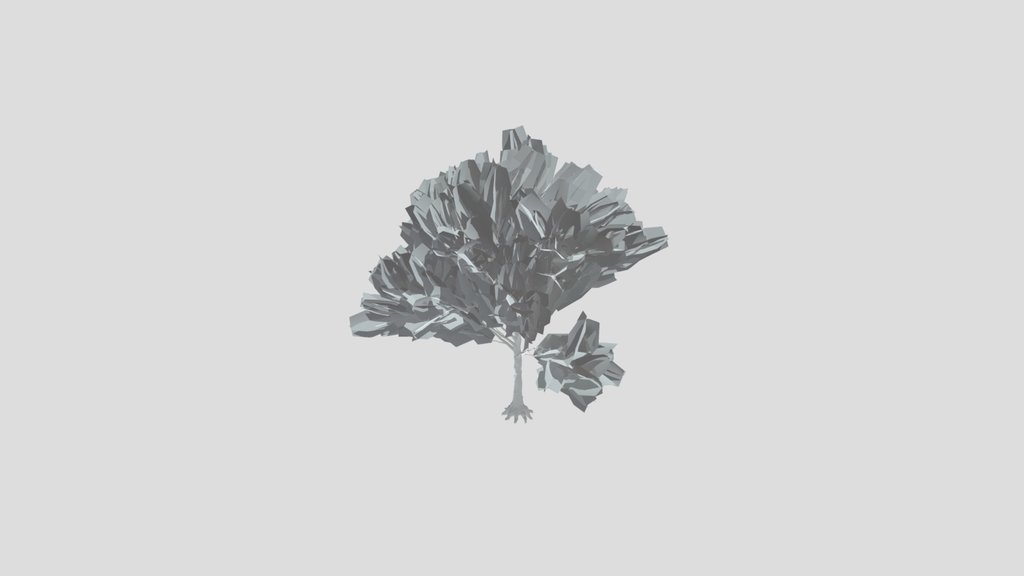 American Beech Tree Variation Low Poly