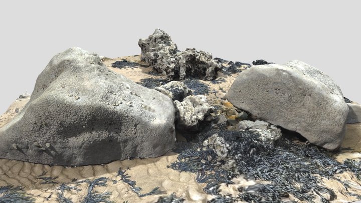 Beach Rocks 3D Model