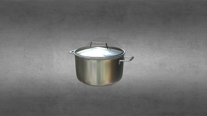 Stainless Steel Cooking Pot 3D Model